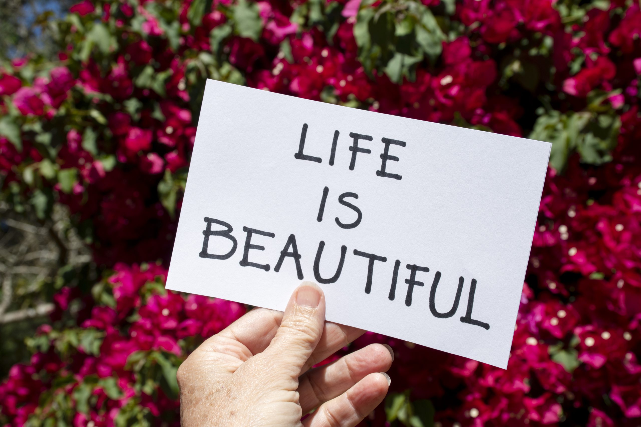 karteczka nawiązująca do dzieci nienarodzonych z napisem, że życie jest piękne